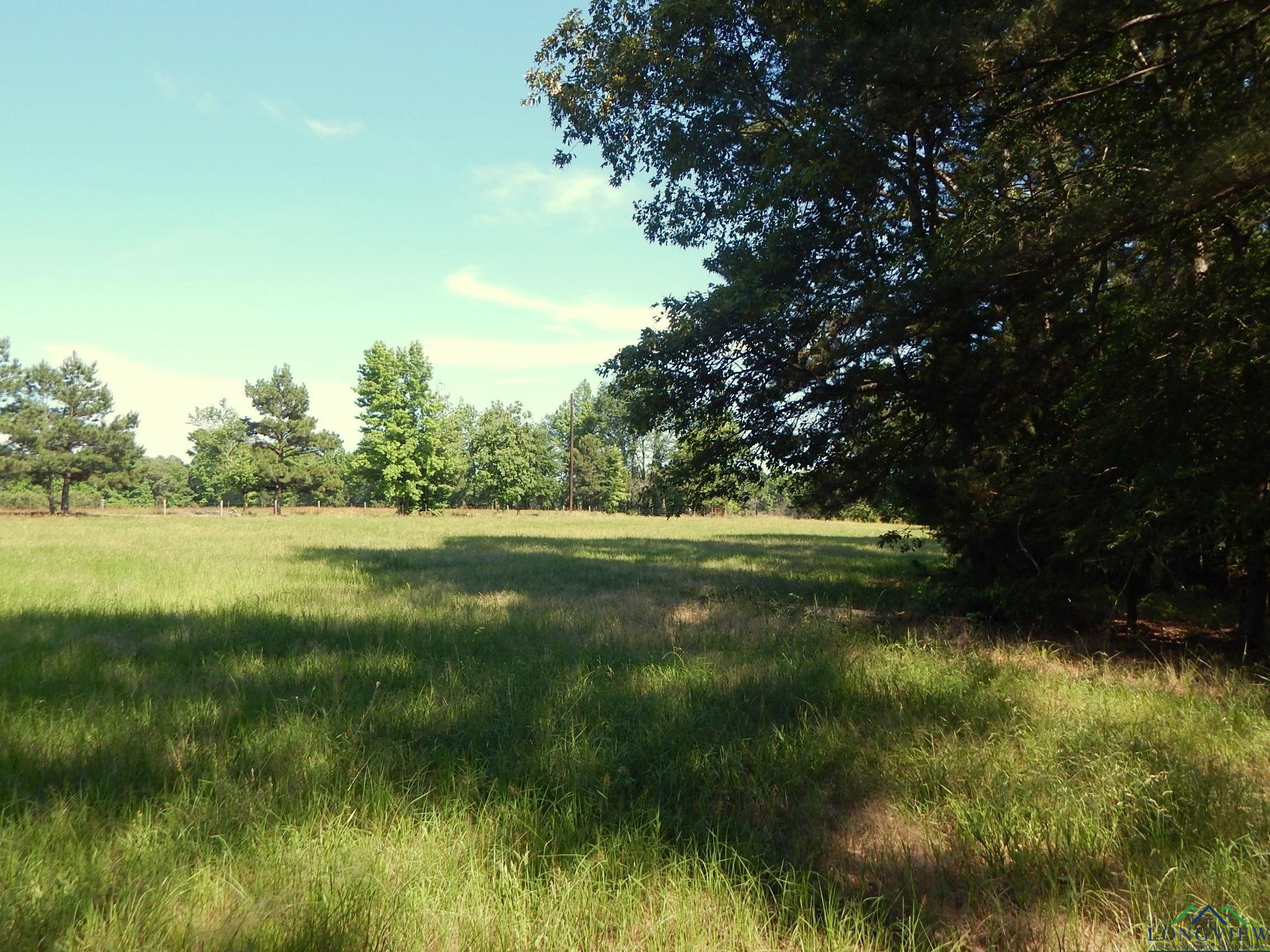 TBD Cr 3190, Winnsboro, Texas image 16