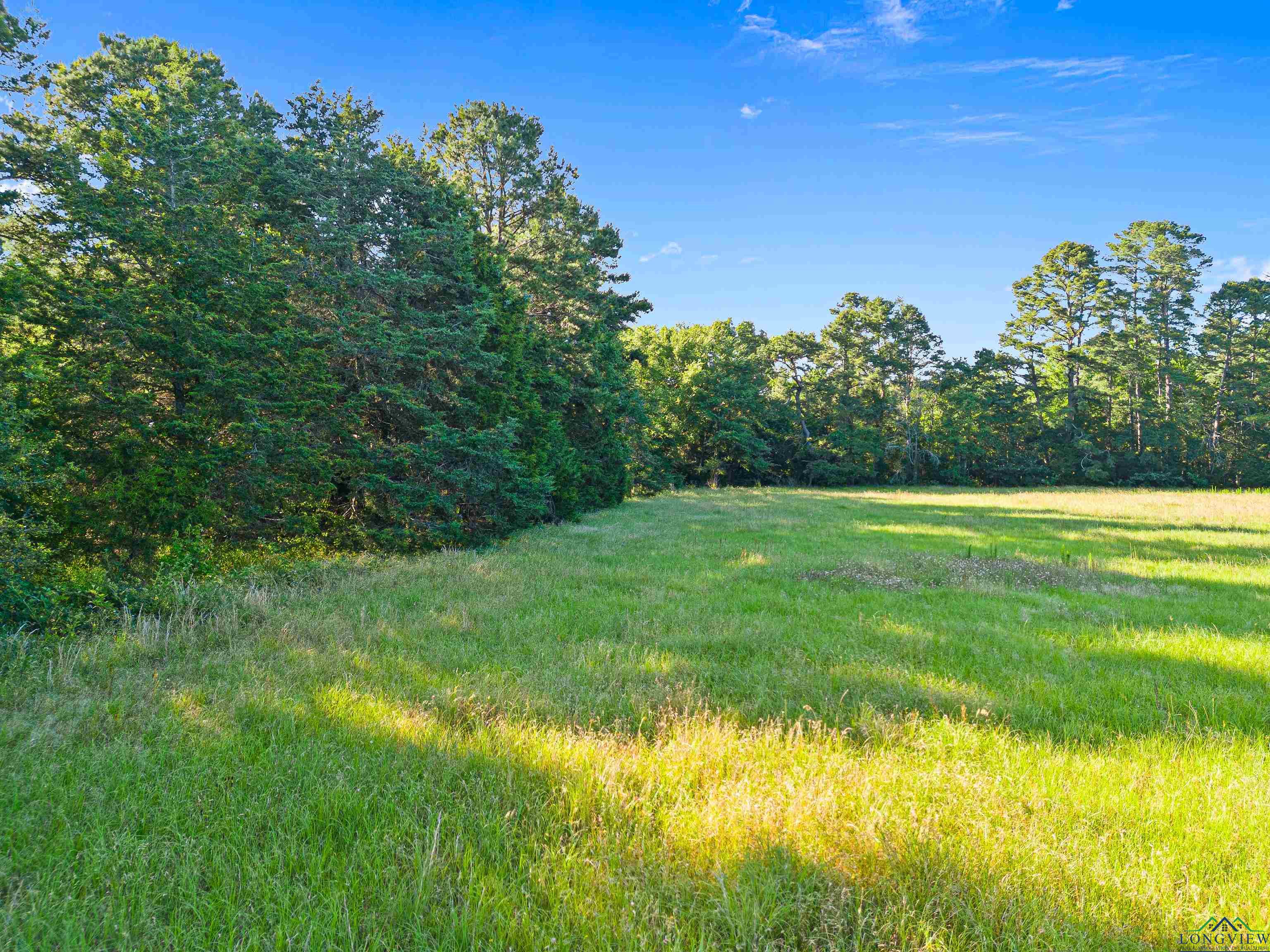 TBD Cr 3190, Winnsboro, Texas image 15