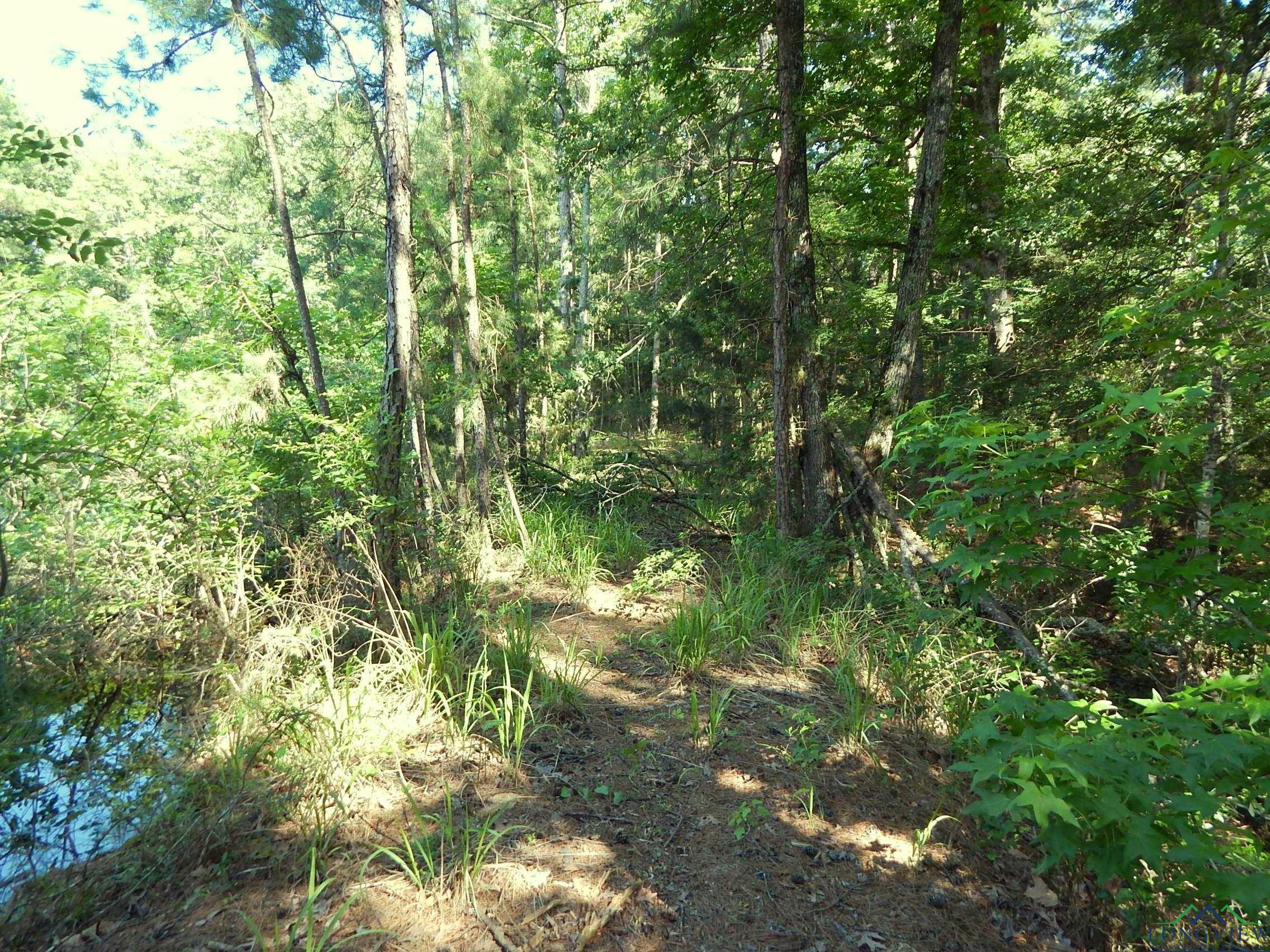 TBD Cr 3190, Winnsboro, Texas image 11