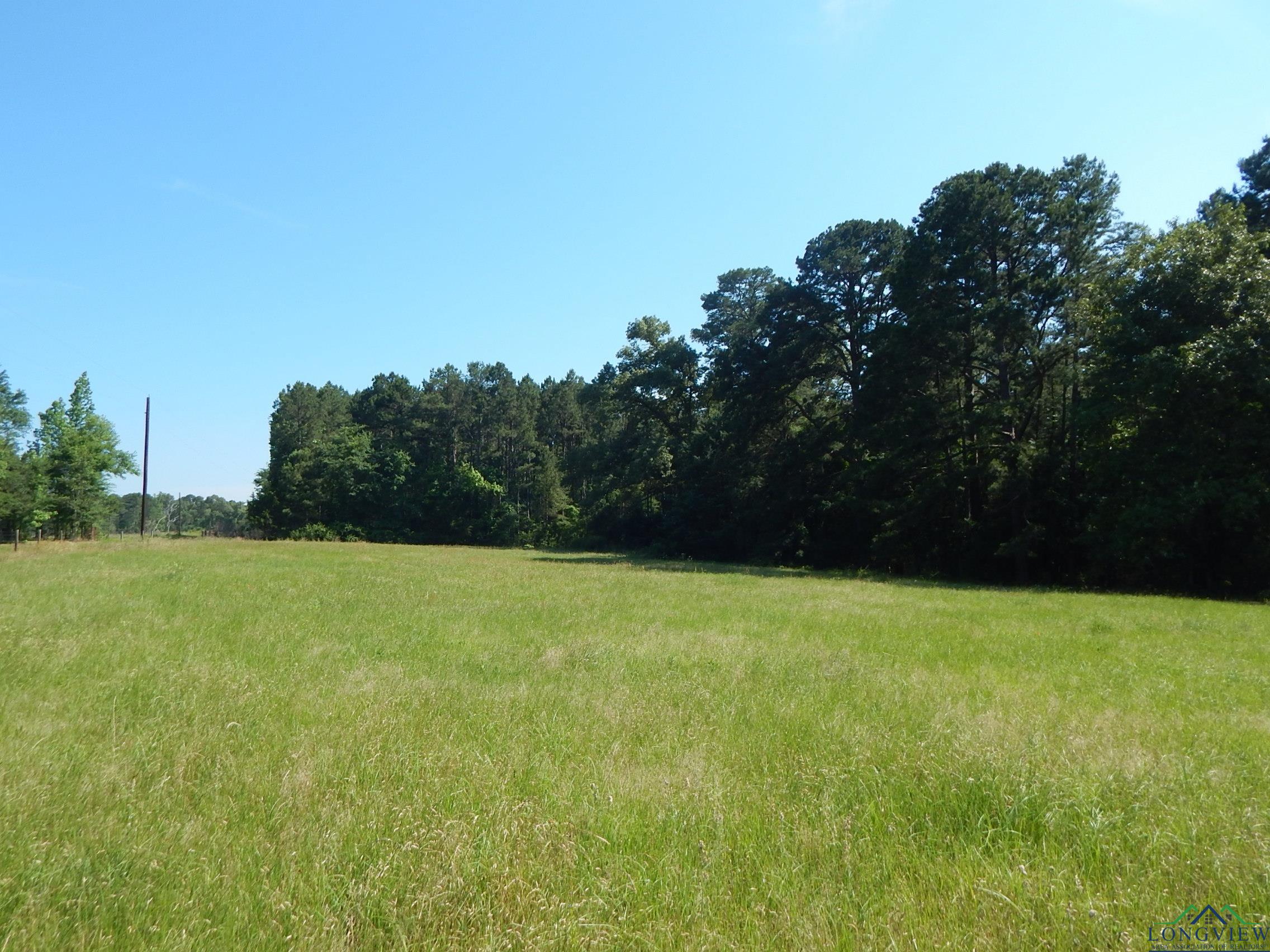 TBD Cr 3190, Winnsboro, Texas image 1