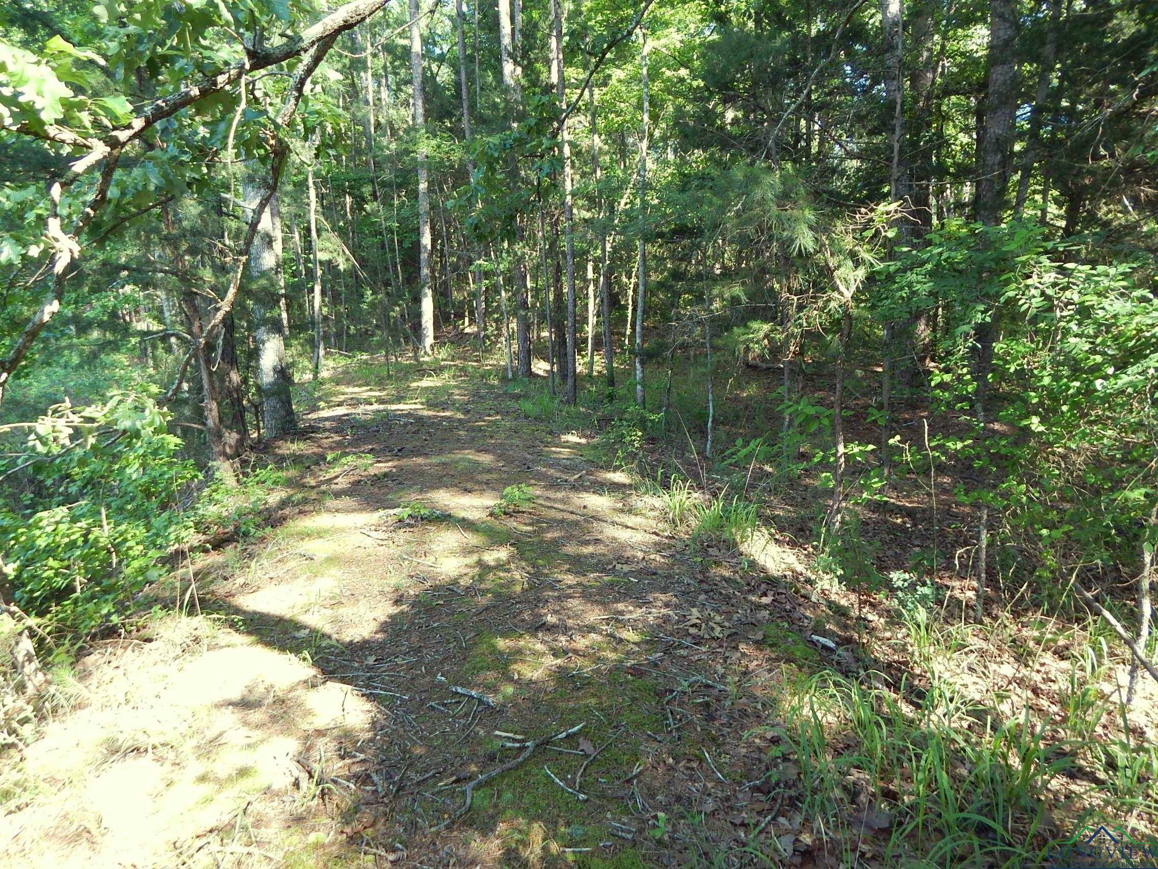 TBD Cr 3190, Winnsboro, Texas image 10