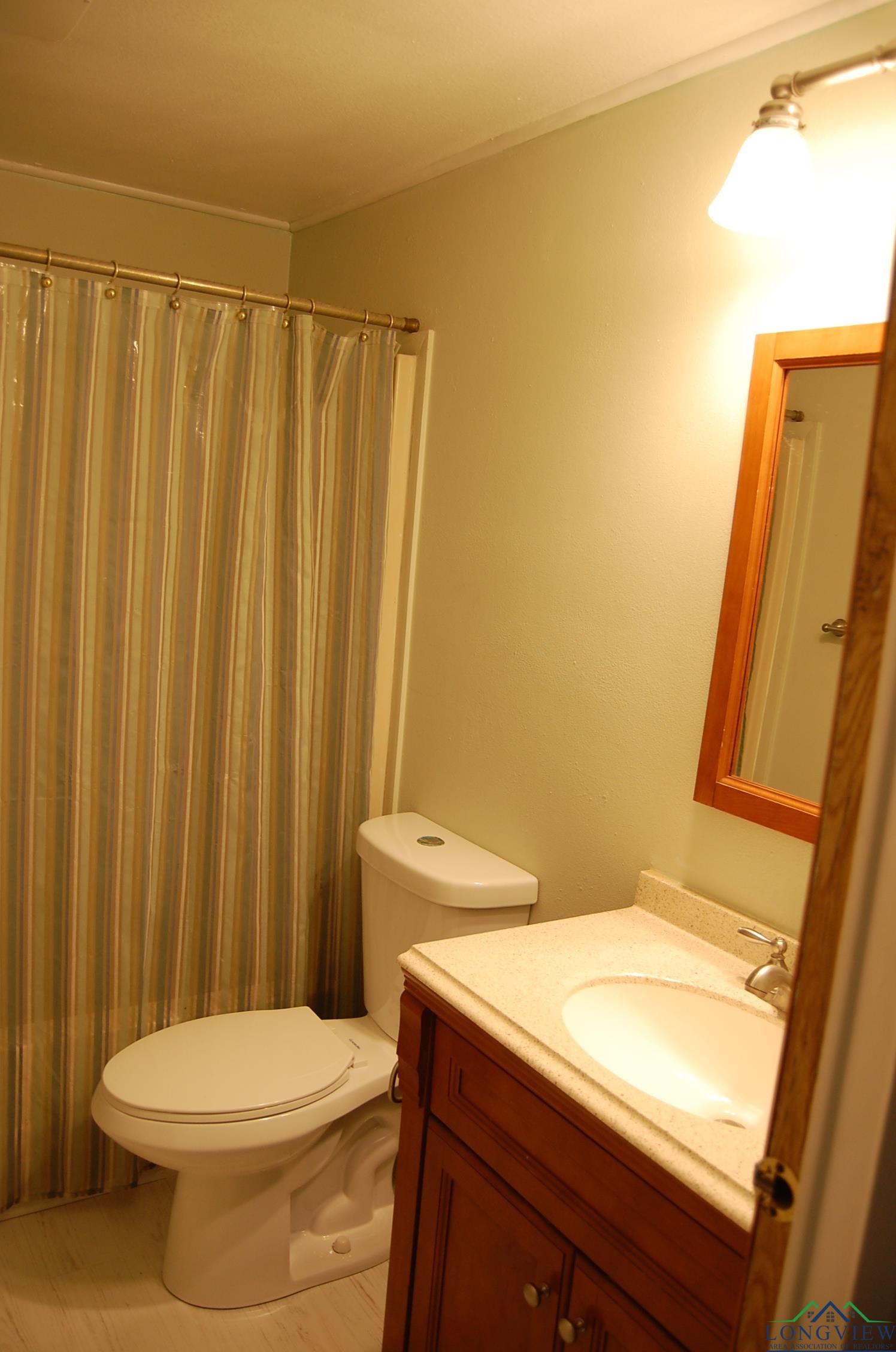 10114 Paradise Cir, Chandler, Texas image 14