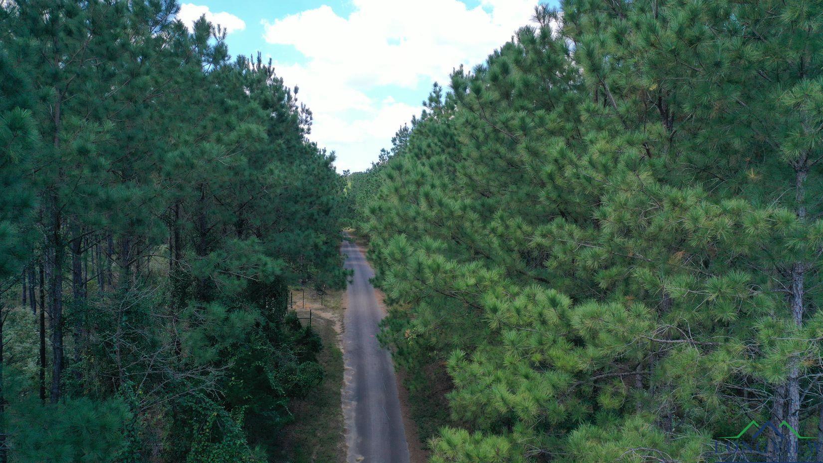 000N County Road 1926, Linden, Texas image 2