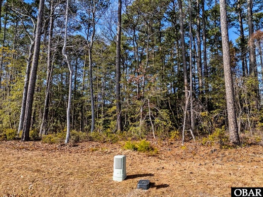 SHADY LN, KITTY HAWK, NC 27949 - Image 54562082b4e7283f8089702661ff2a8e/2019466646