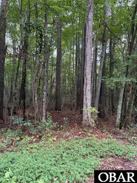 Vacant Land For Sale - LOTS 12 & 13 North River Landing Road #LOT 12<br/> Grandy, NC 27939
