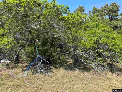 Vacant Land For Sale - E Kinnakeet Reef Court #LOT 18R<br/> Avon, NC 27915