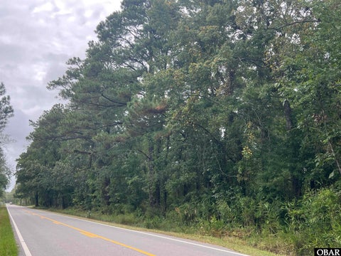 Vacant Land For Sale - Highway 264<br/> Belhaven, NC 27810