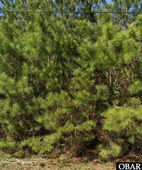 Vacant Land For Sale - 111 Windsor Lane<br/> Edenton, NC 27932