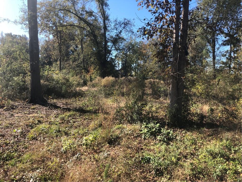 Photo 1 of 6 — 1424 Pocahontas Circle, Manning, SC 29102