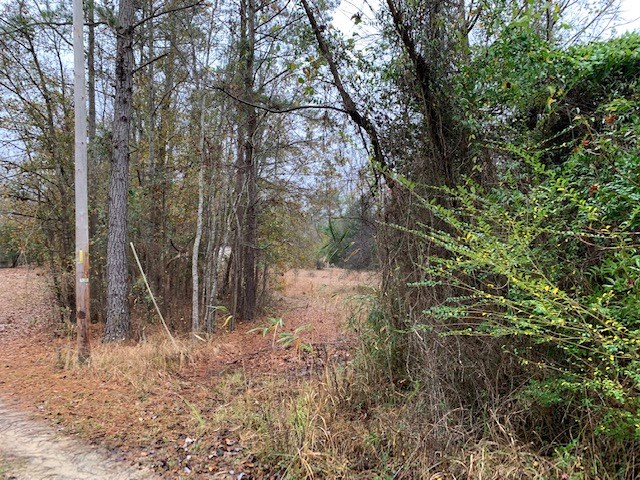1060 Hideout Drive - Photo 3