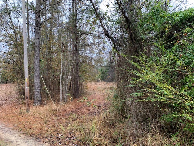 1060 Hideout Drive - Photo 2