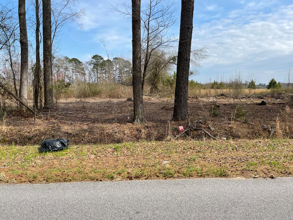 Photo 1 of 4 — Lot 2 W Brewington Road, Sumter, SC 29153