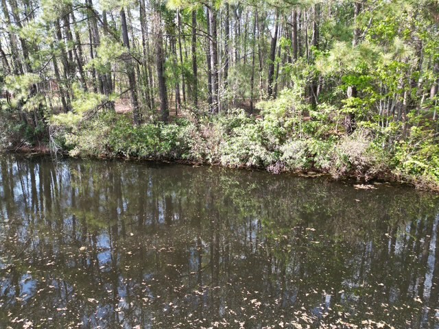 Sumter, South Carolina 29150, United States, ,Land,Pending,176223