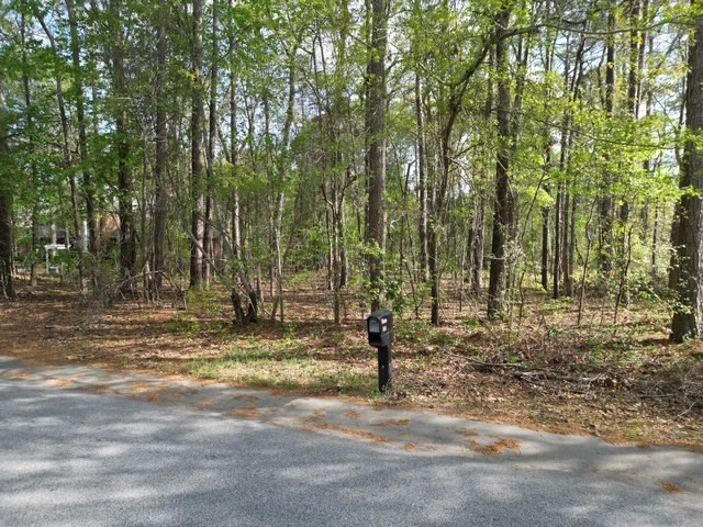 Sumter, South Carolina 29150, United States, ,Land,Pending,176223