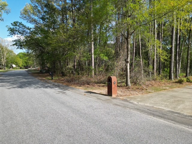 Sumter, South Carolina 29150, United States, ,Land,Pending,176223