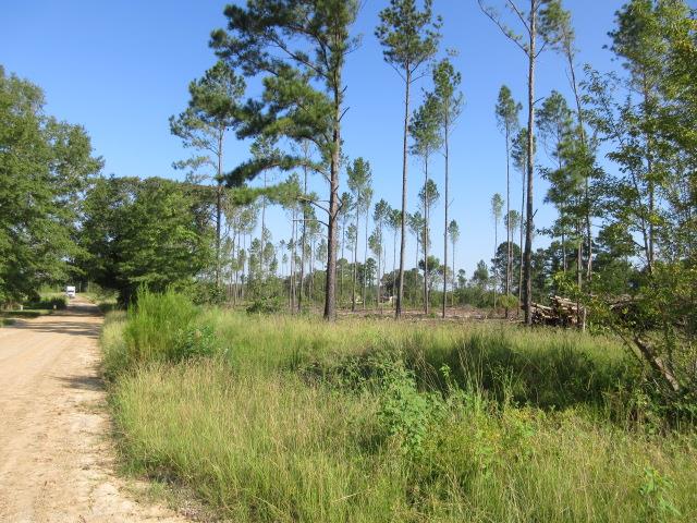 Photo 1 of 7 — 4645 Pineside Drive, Rembert, SC 29128