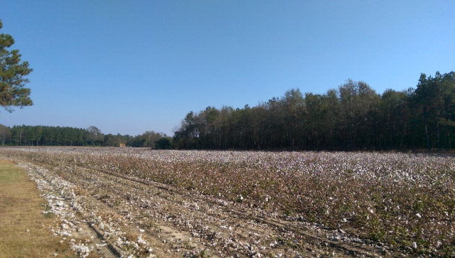 Photo 1 of 1 — TBD Sherlock Rd/Zeagler Road, Cameron, SC 29030