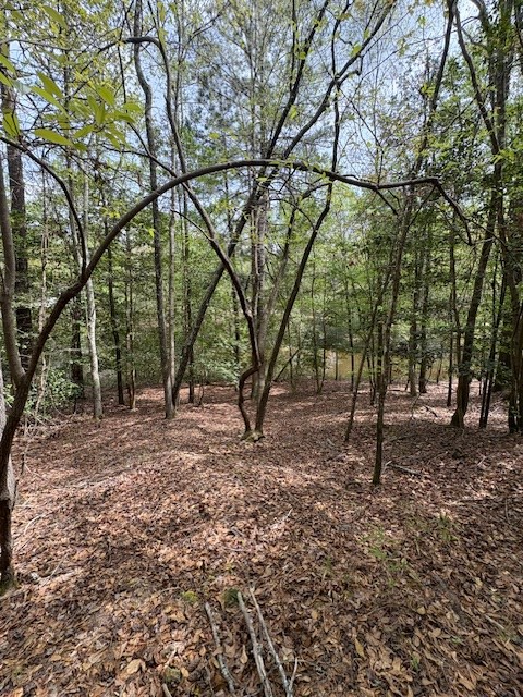 Sumter, South Carolina 29154, United States, ,Land,Active,176225