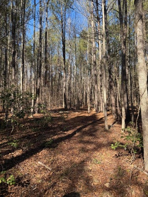 3075 WILFRED DR, REMBERT, SC 29128 - Image 2349fa853353dec76e6ef7803ea8d921/4065410150