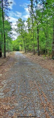 430 MILLERS POND RD, SALLEY, SC 29137 - Image 66ce0e8a99fca6da243e3a4bf96bb022/2729073542