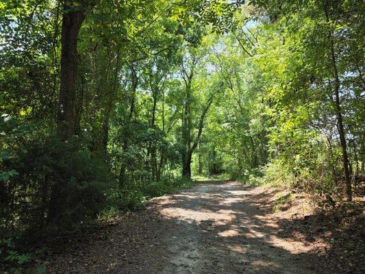 9792 OLD NUMBER SIX HWY, SANTEE, SC 29142 - Image 72e0ec9de7985e49e195eb34f4e0b87e/3041352150