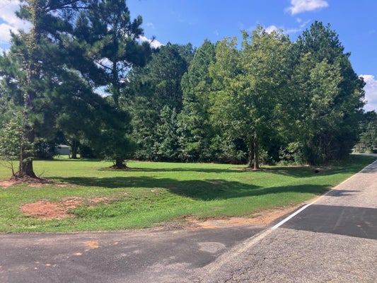 TOM CHARLES RD, SUMMERTON, SC 29148 - Image 82dc1a1c9f4bab1adfa8b69b152e45cf/3221878458