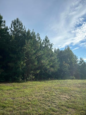 1750 ELDER LN, SUMTER, SC 29153 - Image 89f4b1668956a45b6b49c28fa5833bd2/3639792324