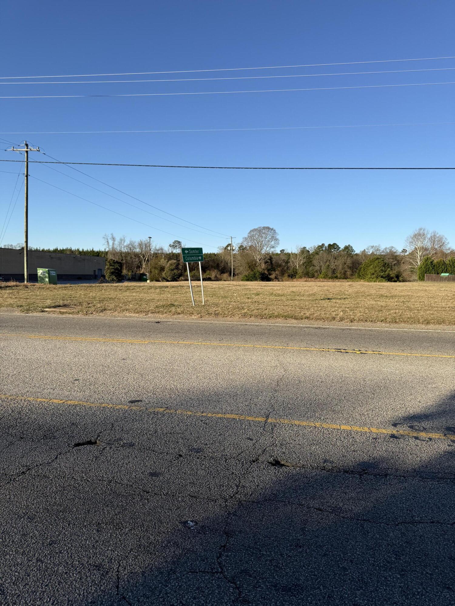 Peach Orchard 1