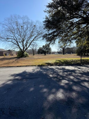 1980 CASTLEROCK DR, SUMTER, SC 29153 - Image c21020dfd350fdd0d7db6635d7a38df6/1581652990