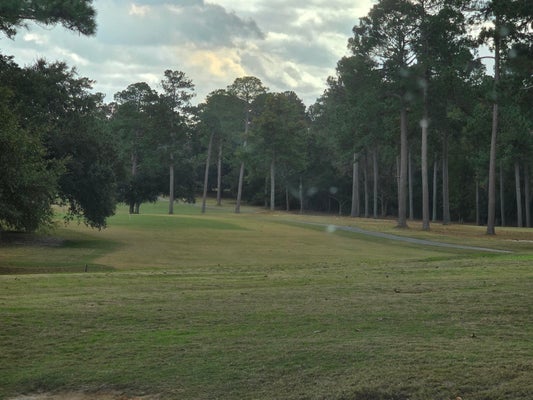 110 COOPER DR # 7, SANTEE, SC 29142 - Image c51c37aeb982e2ad0266006fa08ff6fb/287150424