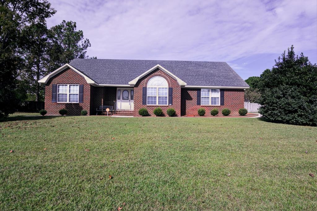 Main View