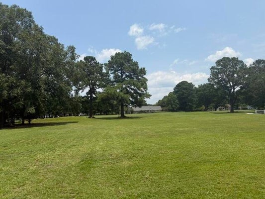 1109 CANTERBERRY DR, MANNING, SC 29102 - Image d7e0da333c70a2efaef245e58408ca0b/622532842