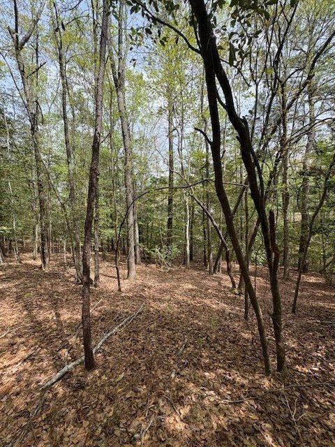 Sumter, South Carolina 29154, United States, ,Land,Active,225993