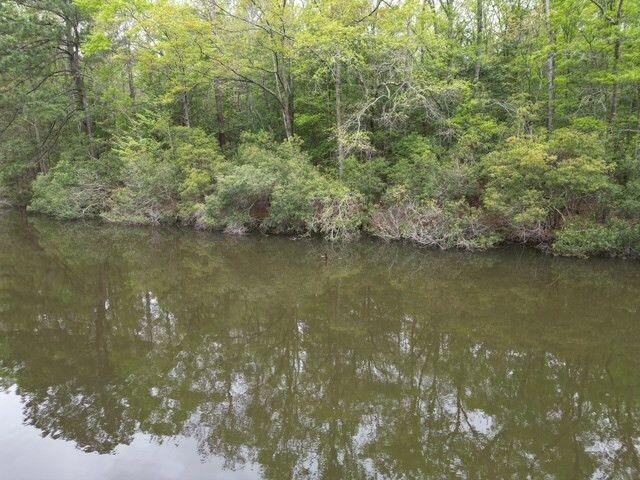 Sumter, South Carolina 29154, United States, ,Land,Active,225993