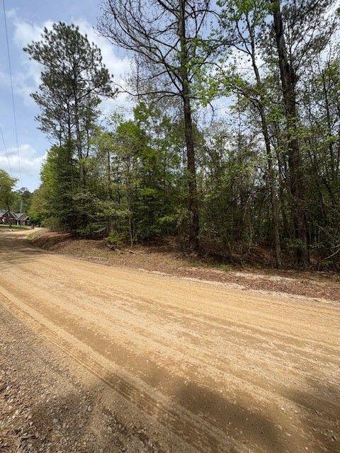 Sumter, South Carolina 29154, United States, ,Land,Active,225993