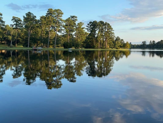 710 LAKEWOOD DR, SUMTER, SC 29150 - Image ebdbd3ea1096b374e09f65c29e32a864/3693902664