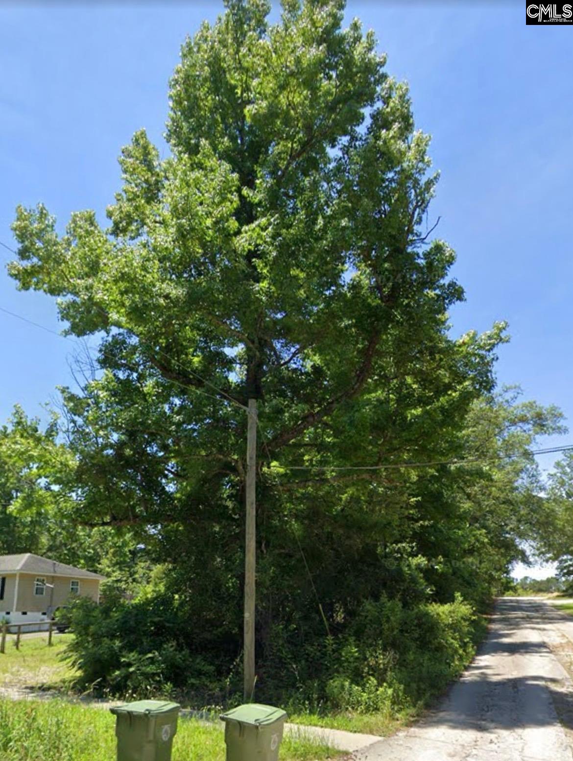 Photo 1 of 3 — 275 Boney Road, Blythewood, SC 29016