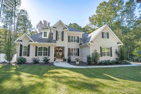 Photo of 230 Back Acres Road, Chapin, SC 29036 (MLS # 620126)