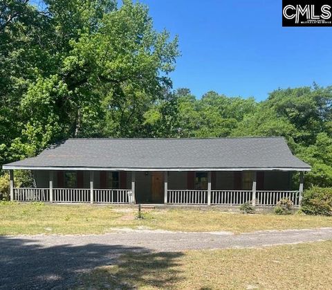 Photo of 175 Geiger Lane, Gaston, SC 29053 (MLS # 631745)