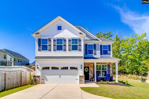 433 Thayer St Chapin Sc 29036