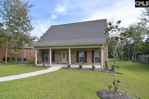 A home in Chapin