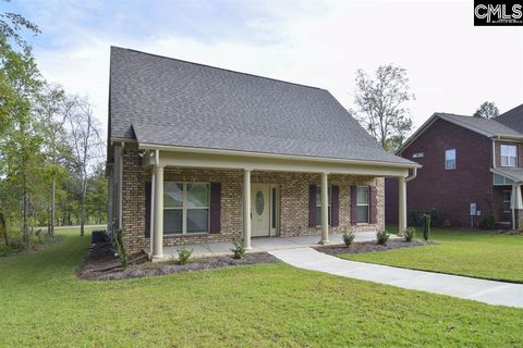 A home in Chapin