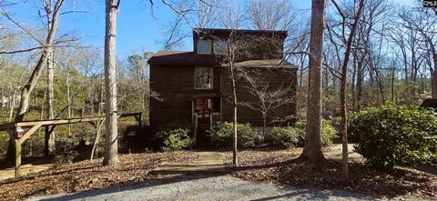 Photo of 104 Pebble Creek Road, Chapin, SC 29036 (MLS # 624770)