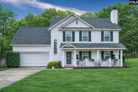 Photo of 188 Kerry Gibbons Drive, Chapin, SC 29036 (MLS # 628130)