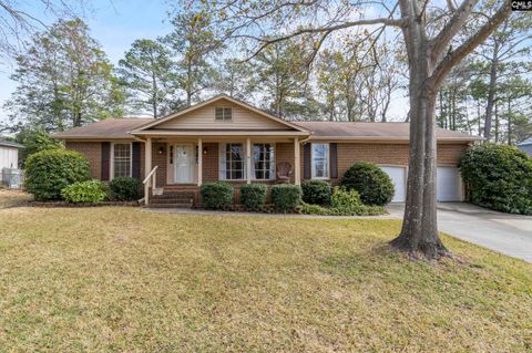 Photo of 306 Doncaster Road, Irmo, SC 29063 (MLS # 627279)