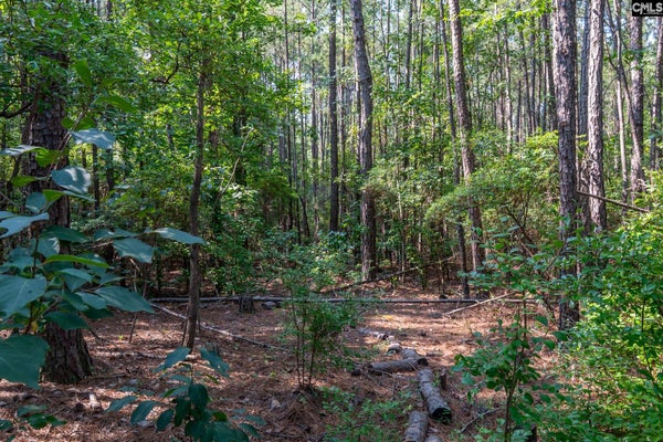 1633 OLD STAGECOACH RD, CAMDEN, SC 29020 - Image 01400b8c5aee78dda1183cd2ea57e7e4/2818340257