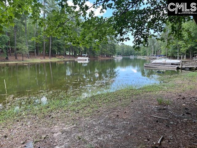 Photo 1 of 4 — 110 John Long Road, Gilbert, SC 29054