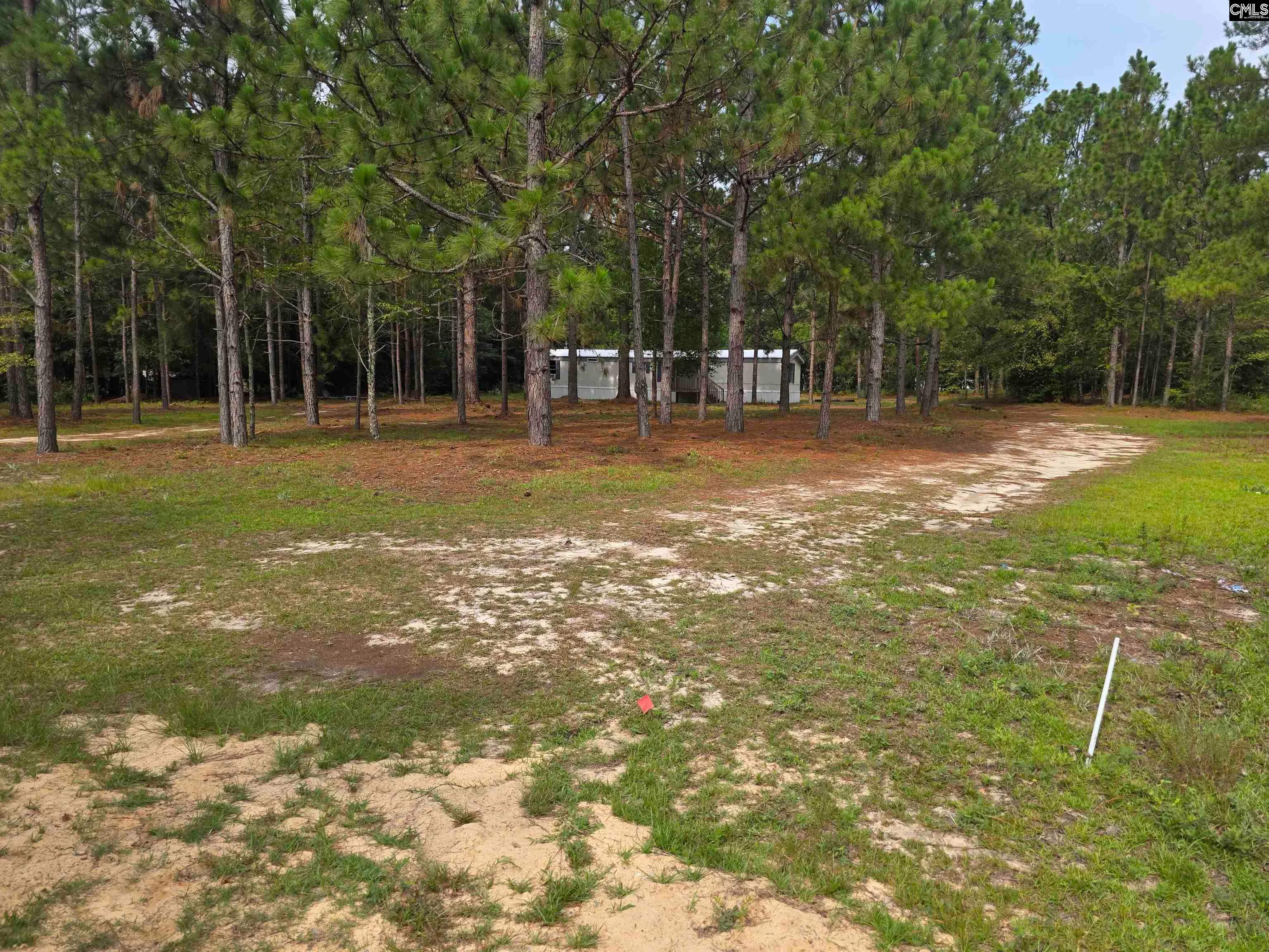 132 Elijah Lane, Pelion, SC, 29123