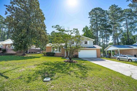 Photo of 4128 Grand Street, Columbia, SC 29203 (MLS # 638412)