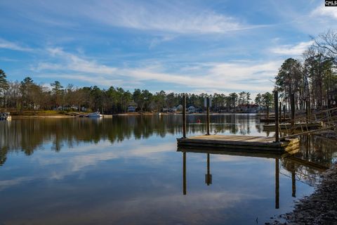 A home in Chapin